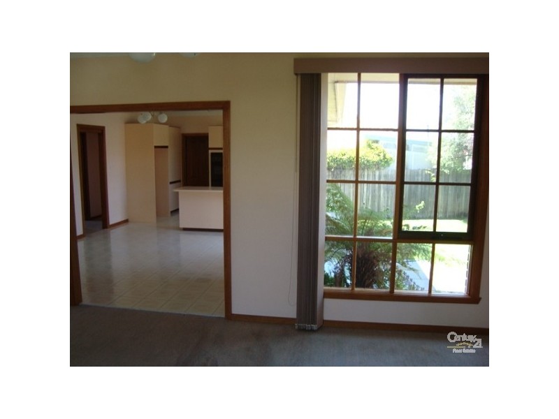 20 Linton Street, Moorabbin VIC 3189