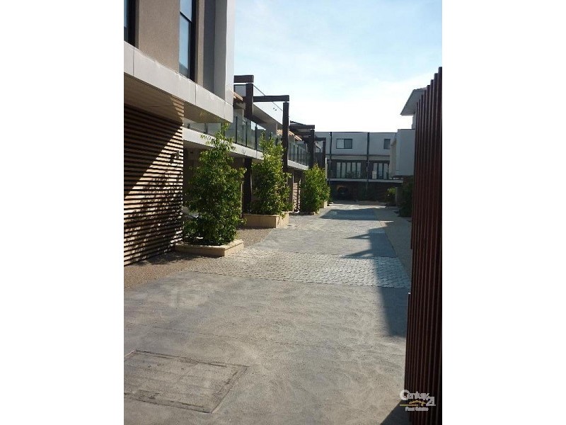 3/149 Male Street, Brighton VIC 3186