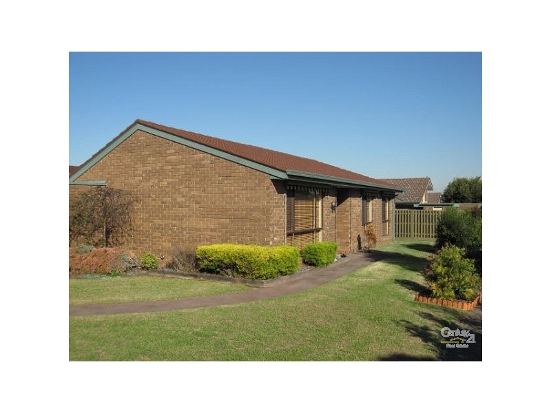 16 Bernard Street, Cheltenham VIC 3192