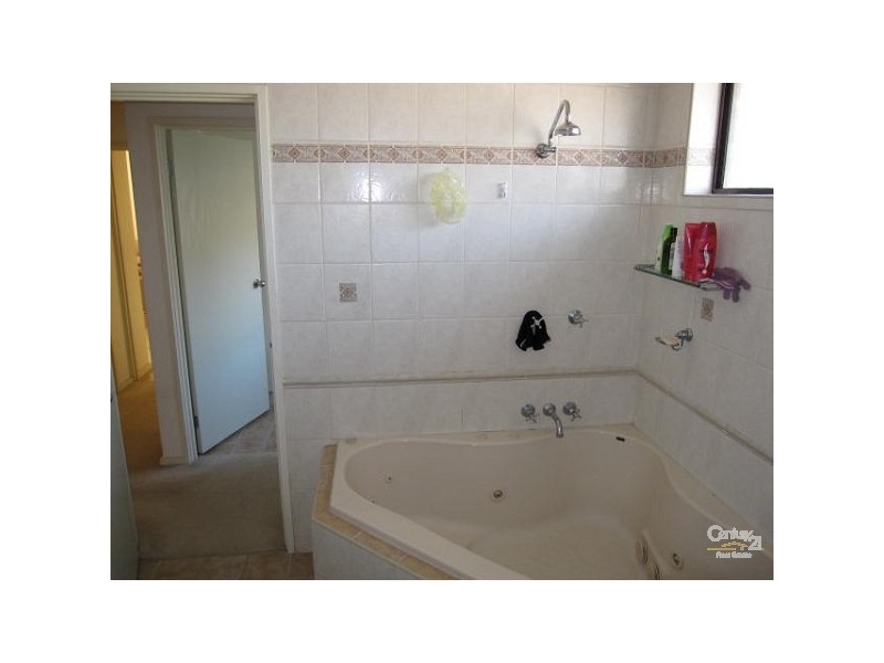 16 Bernard Street, Cheltenham VIC 3192