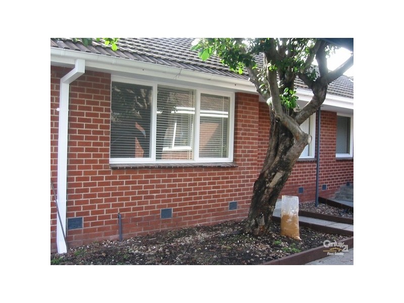 3/17 Delacombe Court, Cheltenham VIC 3192