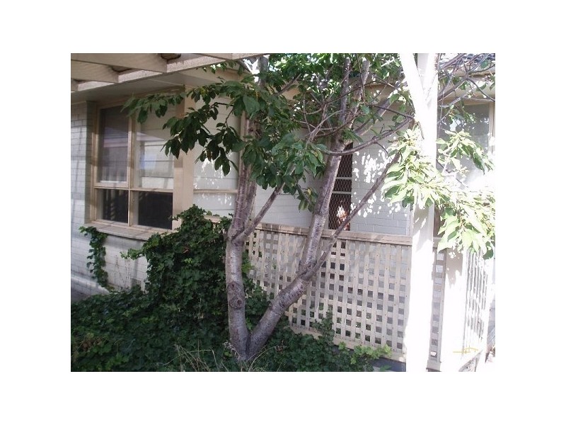 3/28 Ellen Street, Bentleigh East VIC 3165