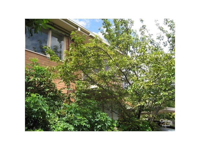 10/240-242 Waverley Road, Malvern East VIC 3145