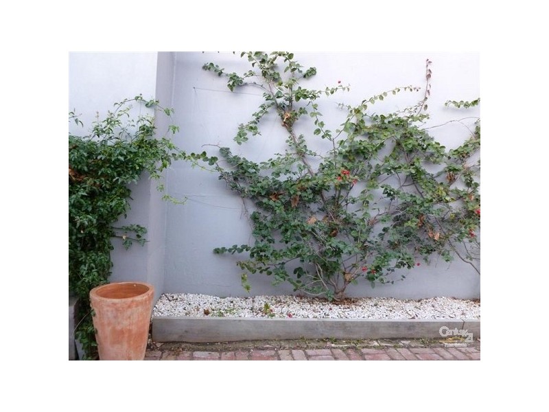 96 Cochrane Street, Brighton VIC 3186