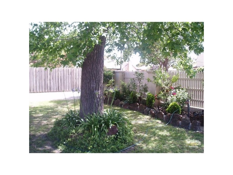 44 Clay Street, Moorabbin VIC 3189