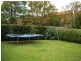 54 Ulupna Road, Ormond VIC 3204