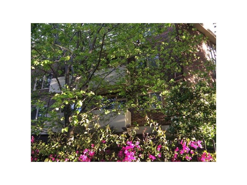 4/232-234 Barkly Street, Elwood VIC 3184