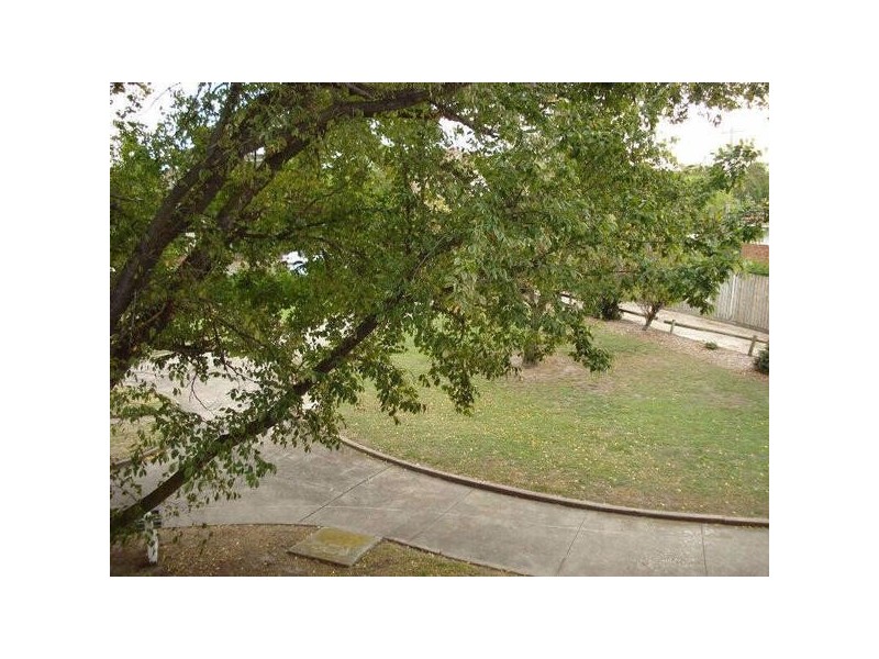 3/119  McKinnon Road, Mckinnon VIC 3204