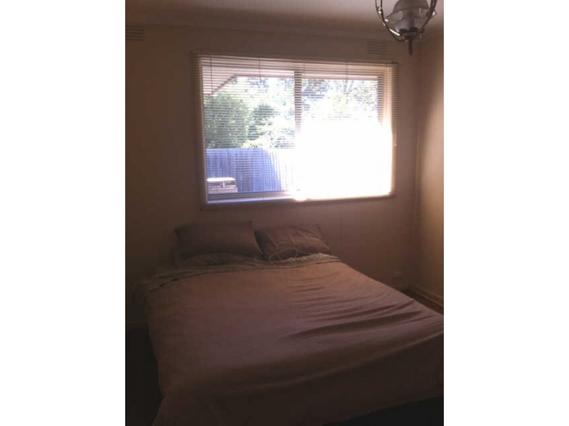 19B  Clive Street, Brighton East VIC 3187