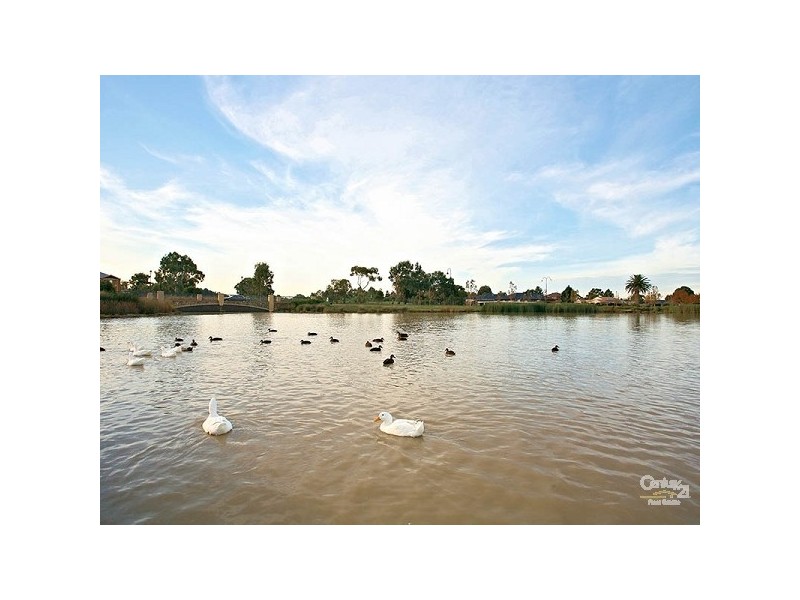 15 Tournament Rise, Craigieburn VIC 3064