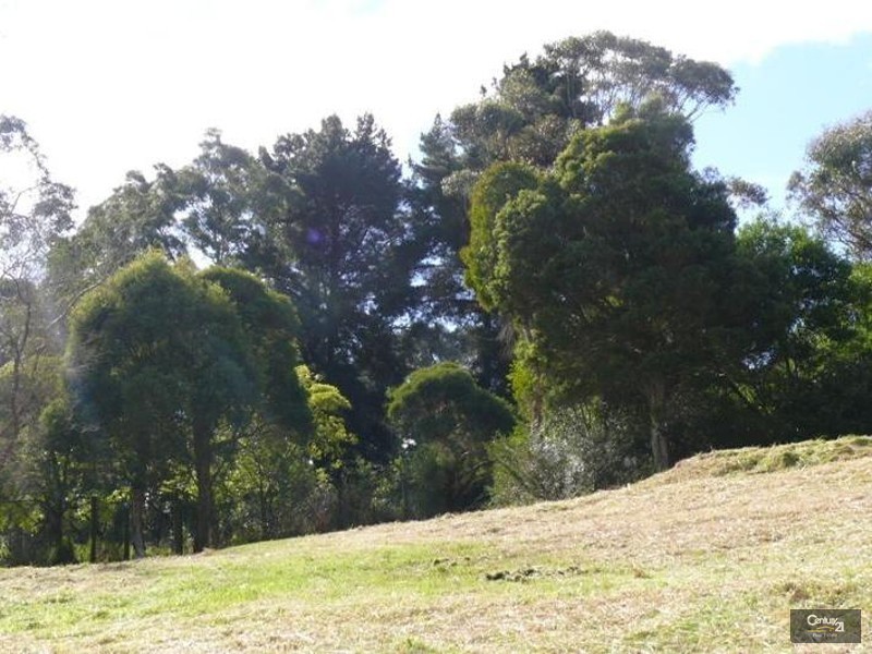 2/290 Canadian Bay Road, Mount Eliza VIC 3930