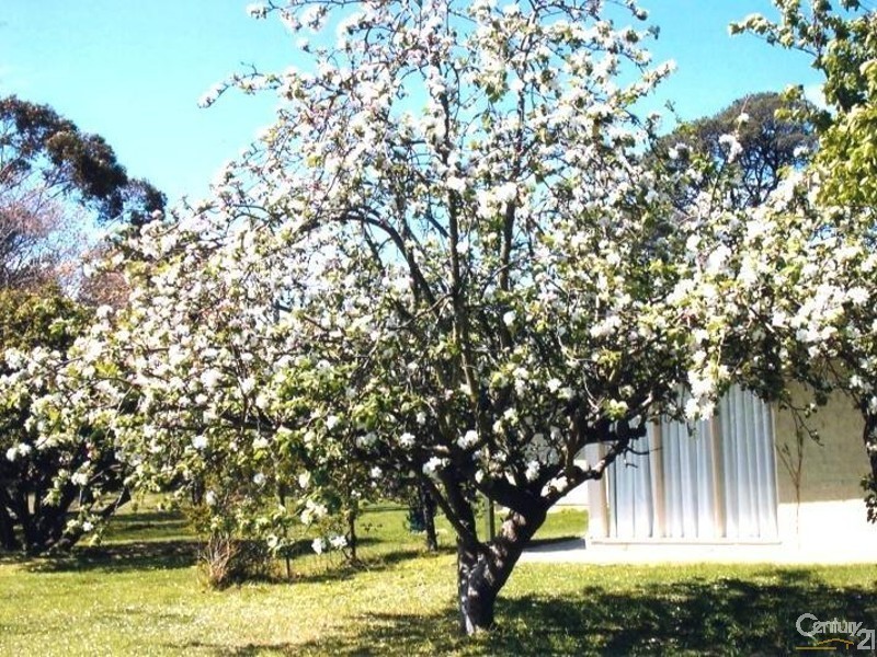 185 Yarrum Port Albert Road, Port Albert VIC 3971