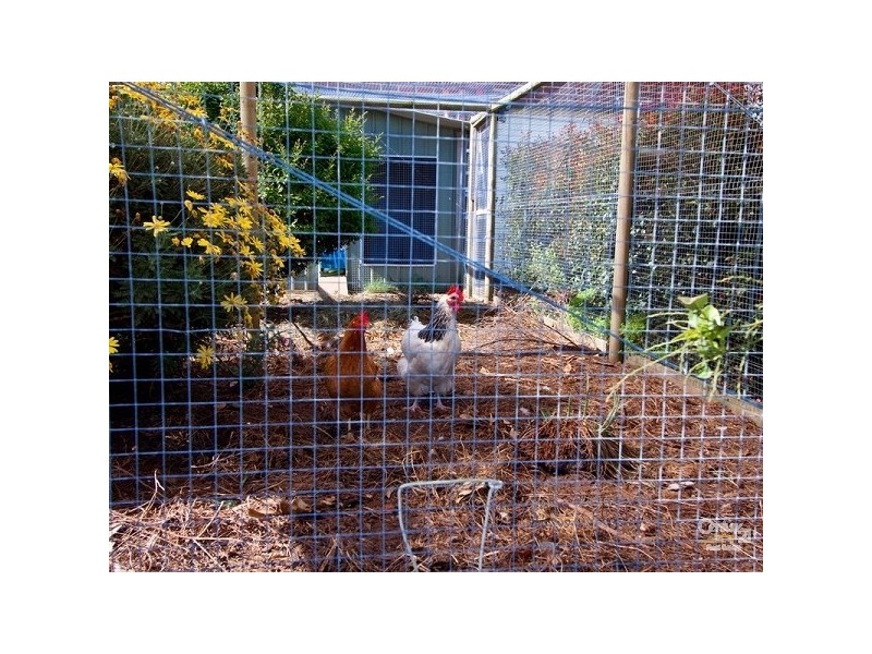 24 Benton Grange Drive, Mornington VIC 3931