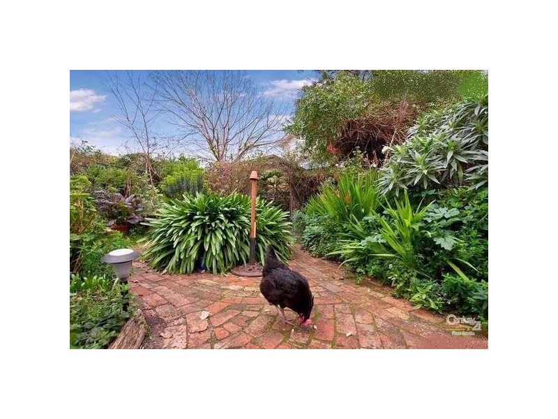 16 Moomba Street, Mornington VIC 3931