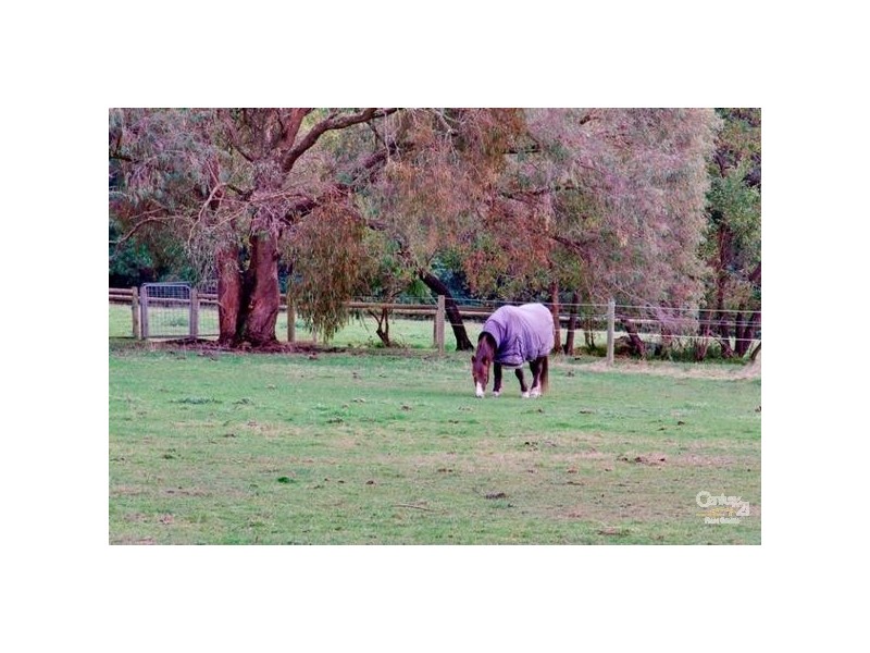 337 Myers Road, Merricks North VIC 3926