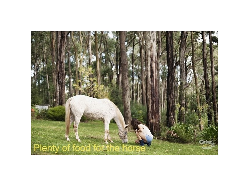 29 Stewart Road, Emerald VIC 3782