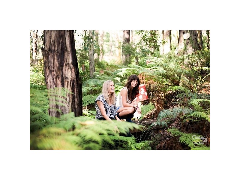 29 Stewart Road, Emerald VIC 3782