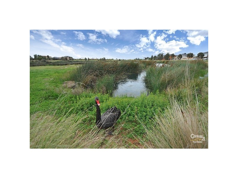 53 Hemsley Promenade, Point Cook VIC 3030