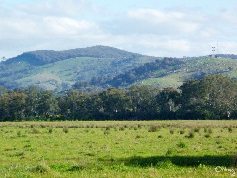 Lot 1 Leos Road, Violet Town VIC 3669