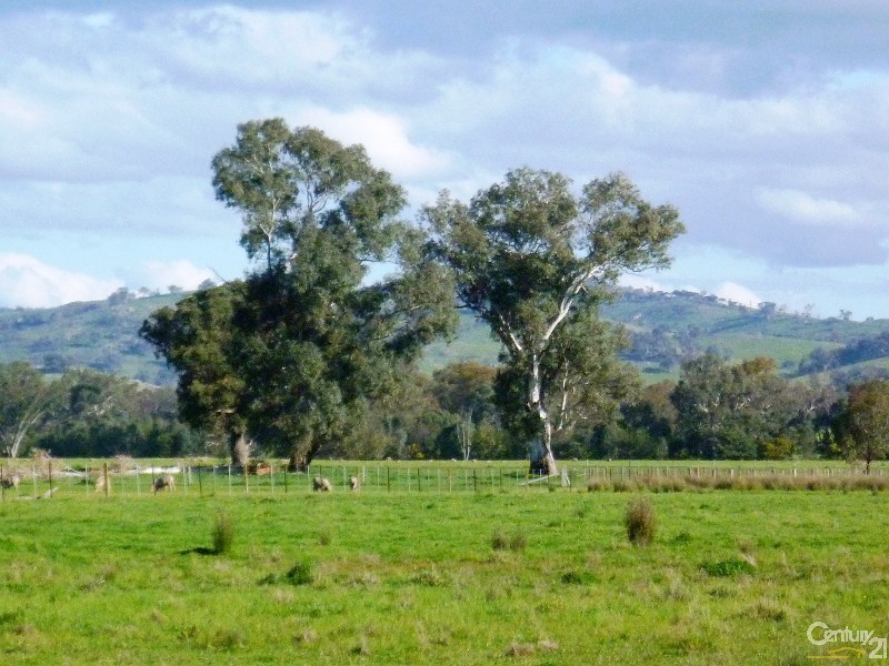 Lot 1 Leos Road, Violet Town VIC 3669