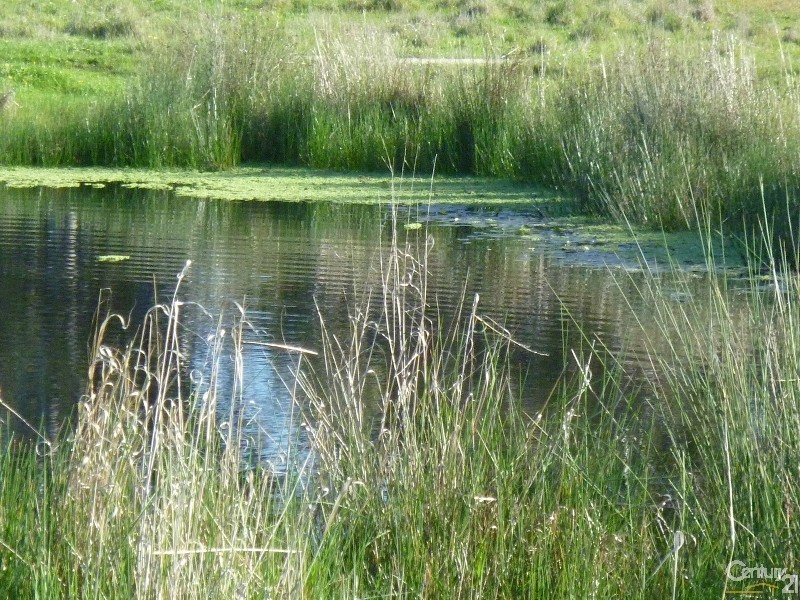 Lot 1 Leos Road, Violet Town VIC 3669