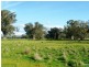 Lot 1 Leos Road, Violet Town VIC 3669