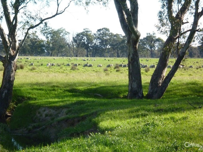 Lot 1 Leos Road, Violet Town VIC 3669