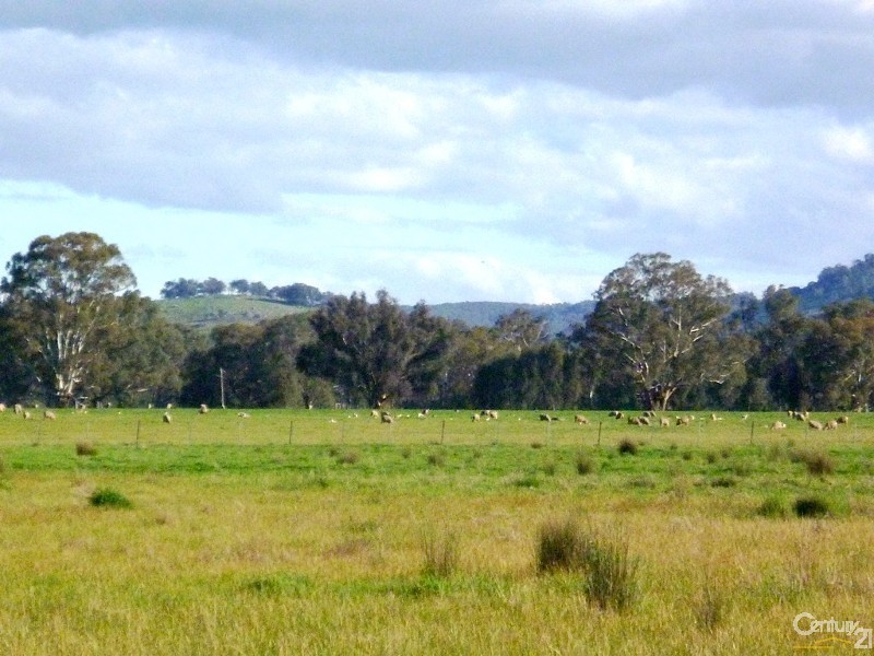 Lot 1 Leos Road, Violet Town VIC 3669