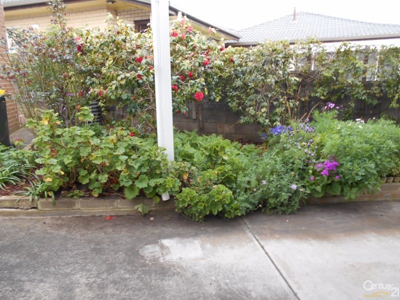 12 Floral Place, Warrnambool VIC 3280