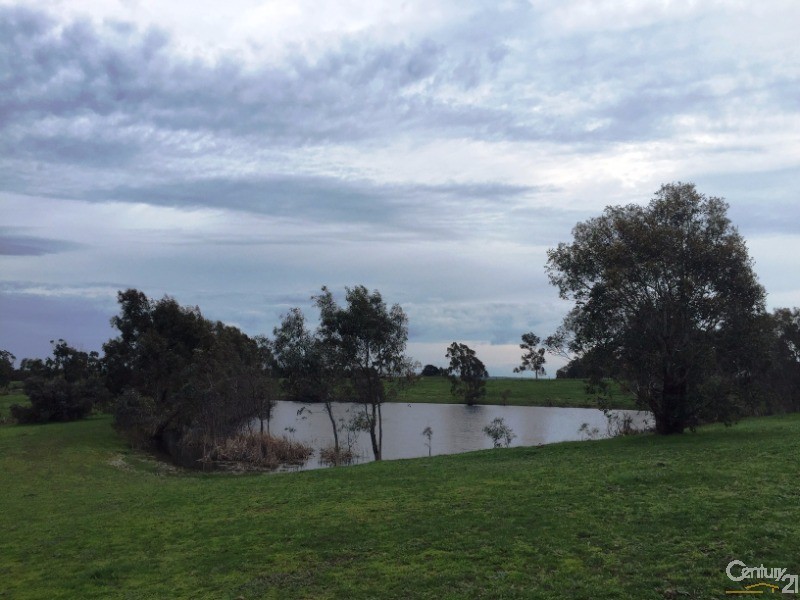 87 Schreenans Road, Bonshaw VIC 3352