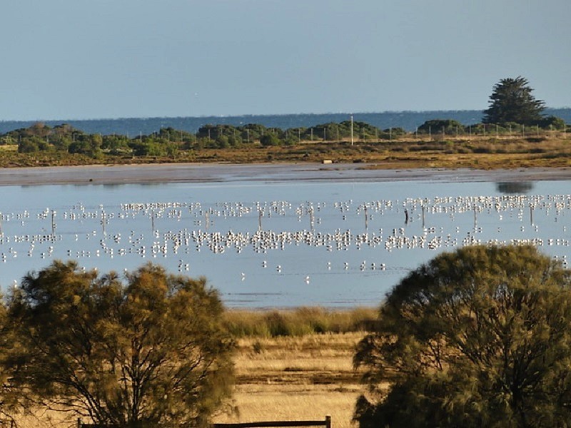 Lot 2 Point Cook Homestead Road, Point Cook VIC 3030
