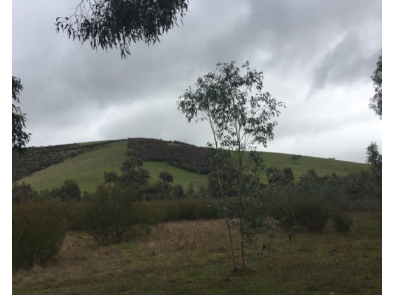 850 Telegraph Road, Seymour VIC 3660