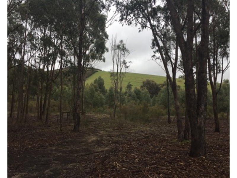 850 Telegraph Road, Seymour VIC 3660