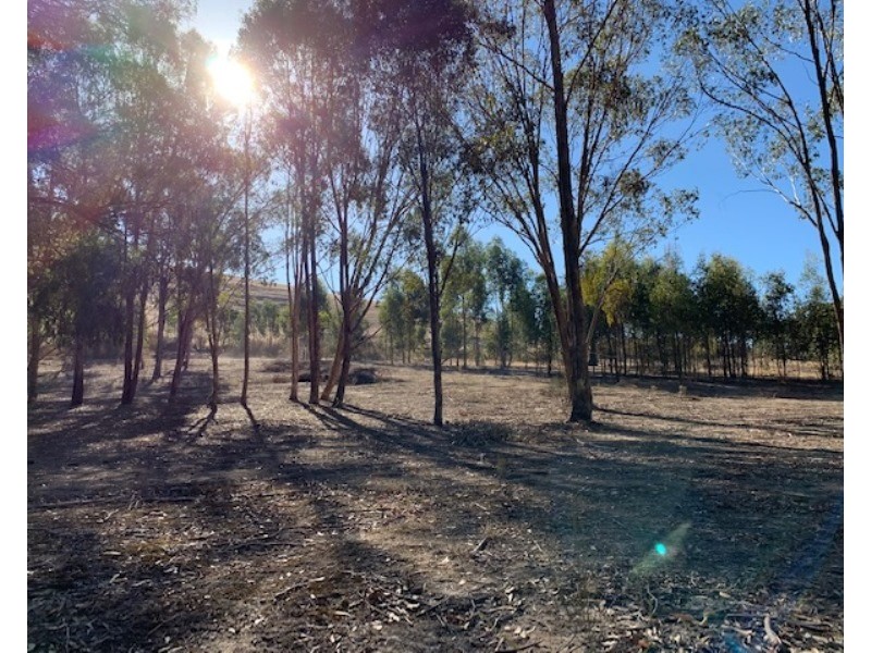 820 Telegraph Road, Seymour VIC 3660