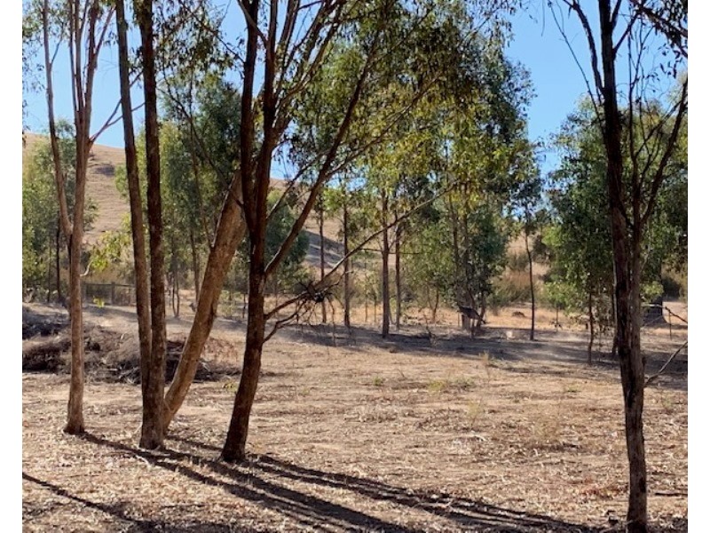 820 Telegraph Road, Seymour VIC 3660