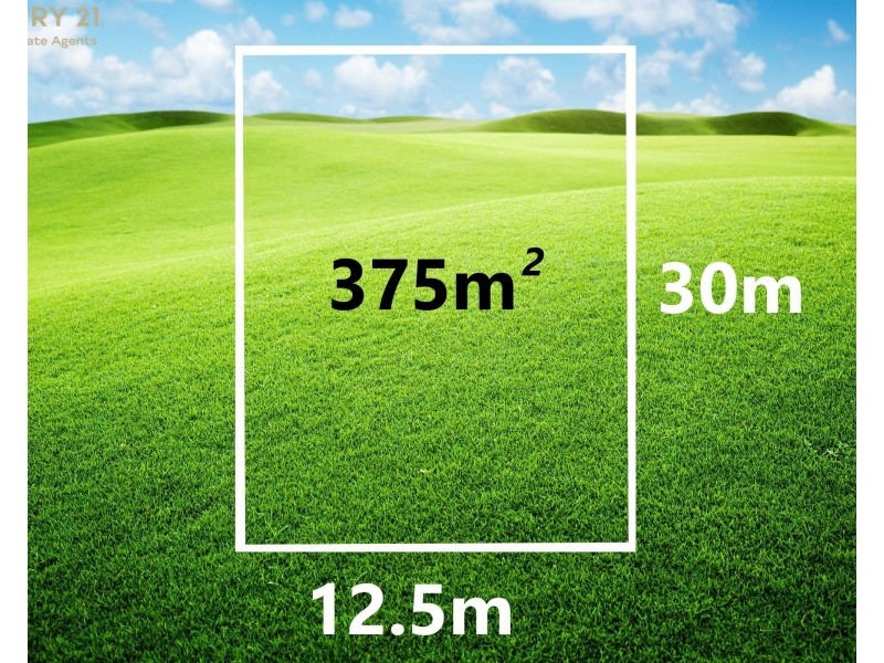 11 Bishopsgate Avenue, Tarneit VIC 3029