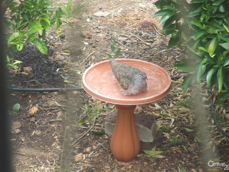 59 Basildon, Lesmurdie WA 6076