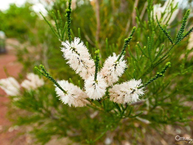 48 West Terrace, Kalamunda WA 6076