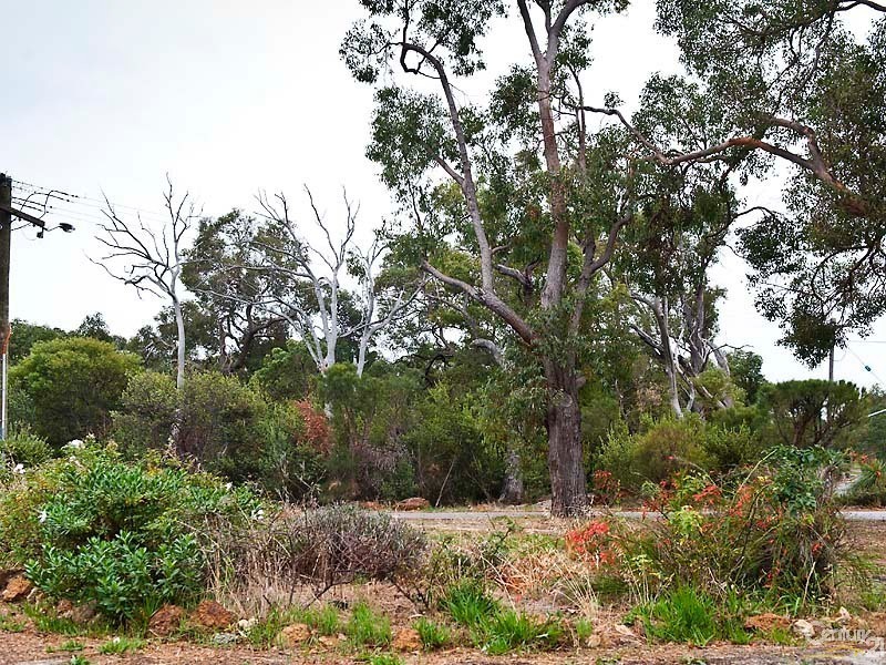 14 Mary Drive, Lesmurdie WA 6076