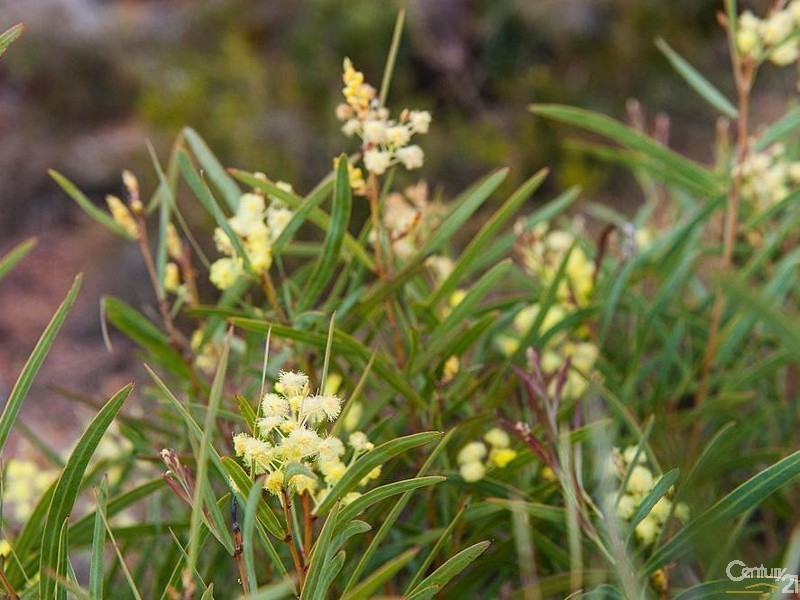 28 Graham, Gooseberry Hill WA 6076