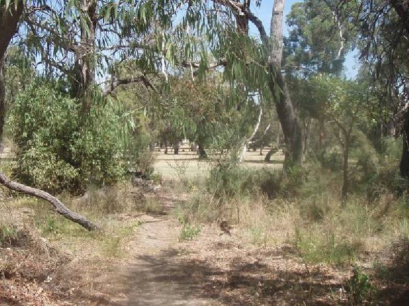 32 Russell Drive, Waroona WA 6215