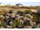 49 Southport Blvd, Dawesville WA 6211