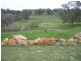 38 Shady Hills View, Bullsbrook WA 6084