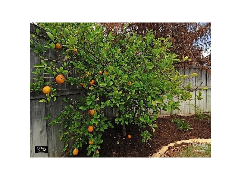 2 Messina Grove, Ellenbrook WA 6069