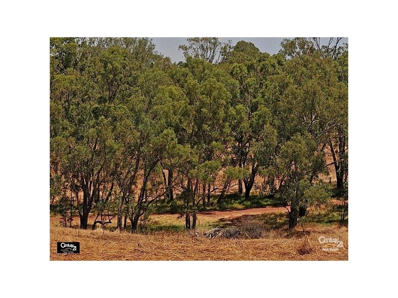 3 Padbury Avenue, Millendon WA 6056