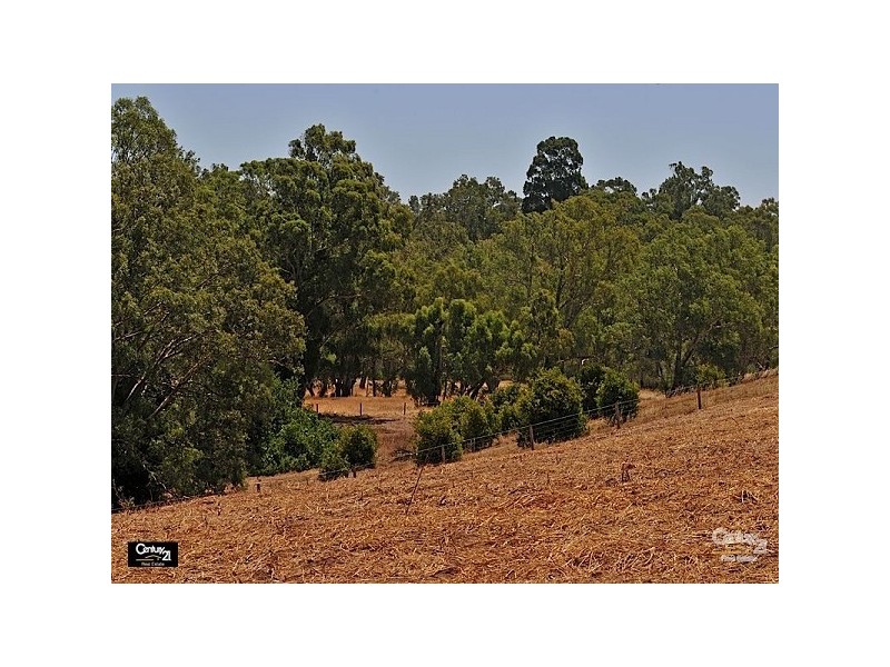 3 Padbury Avenue, Millendon WA 6056