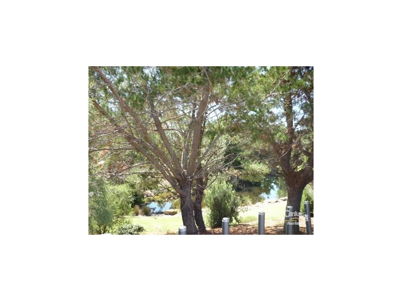 10 Smokebush Way, Ellenbrook WA 6069