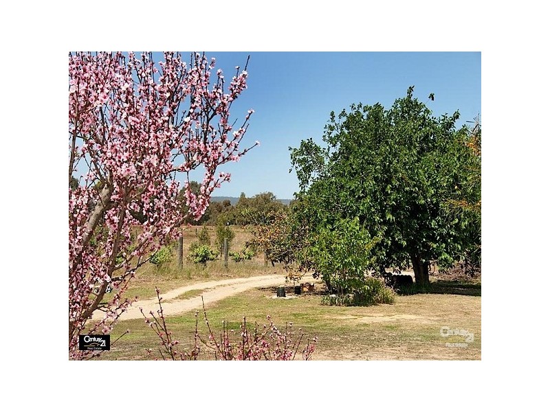 Lot 39 Railway Crescent, Herne Hill WA 6056