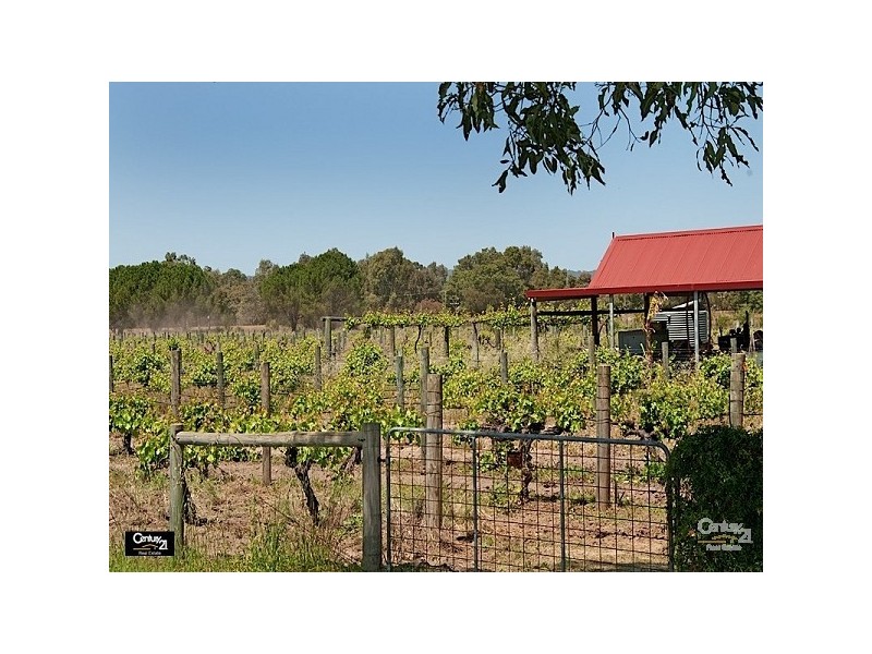 Lot 39 Railway Crescent, Herne Hill WA 6056