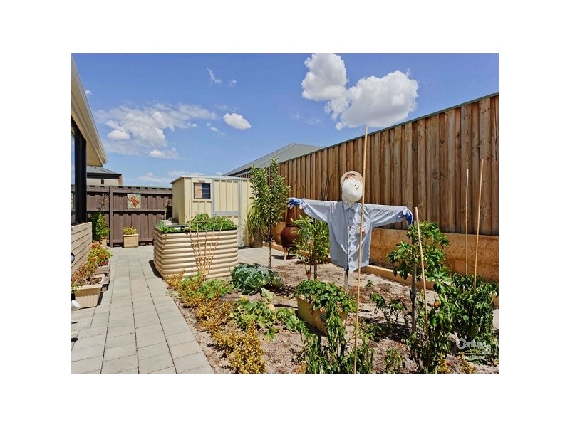 61 Elmridge Parkway, Ellenbrook WA 6069